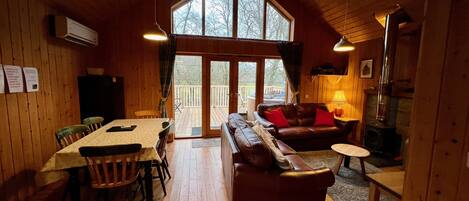 Smart TV, fireplace, DVD player, books