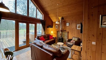 Smart TV, chimenea, reproductor de DVD y libros