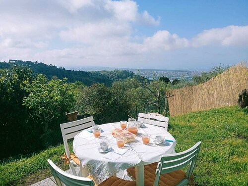 Pink house in Versilia hills with garden and holistic massage service