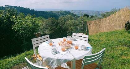 Pink house in Versilia hills with garden and holistic massage service
