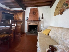 Fernseher, Kamin, Bücher