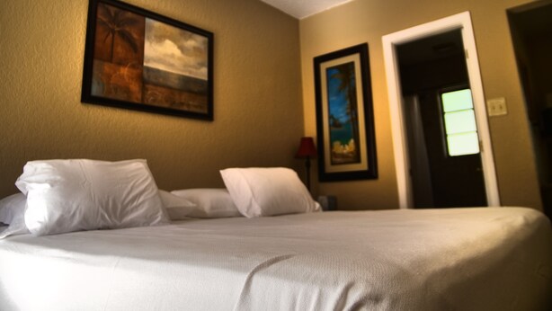Una habitación de hotel con una cama, dos cuadros en la pared y una puerta que da a otra habitación.