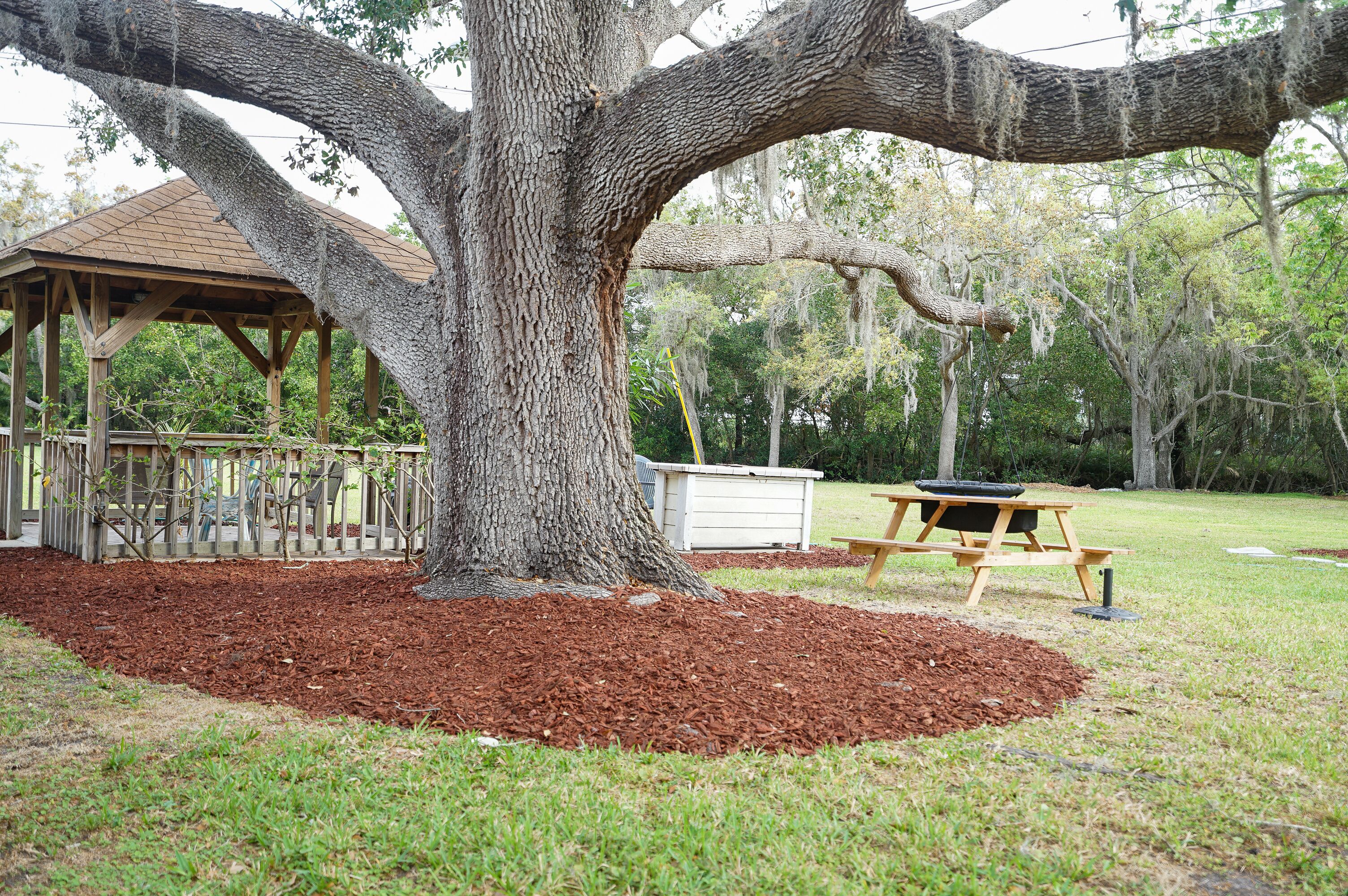 Un árbol grande con un porche de madera y una mesa de picnic cerca.