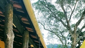 A stone pathway leading to a yellow building with wooden pillars and a covered area. - Bela Casa Ilha Grande (Angra dos Reis)