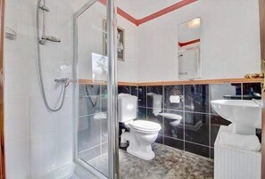 A modern bathroom with a glass shower enclosure, a white toilet, and a large sink. - OLD SMIDDY APARTMENT, BALLOCH, LOCH LOMOND SLEEPS 3 IN FAMILY ROOM (Balloch)