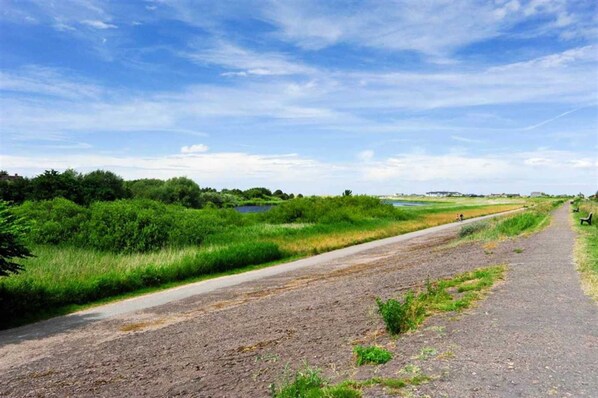 Unclassified image, 1 of 19, button