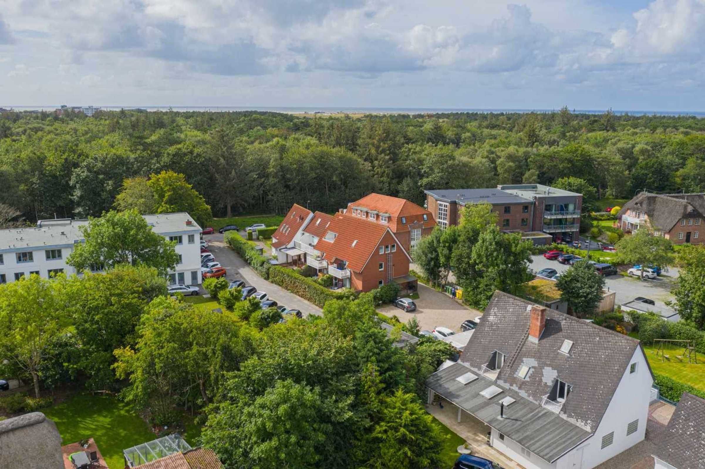 A residential area with houses, a parking lot, and a forested background.