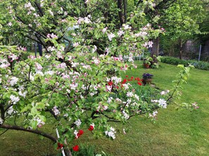 Property grounds - The city apartment with a feel-good character. Close to the center and yet in the countryside. (Bad Harzburg)