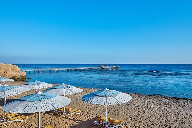 Bar en la playa