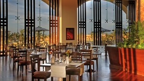 En restaurant med borde dækket til spisning, store vinduer med lodrette persienner og udsigt til palmer og bygninger.