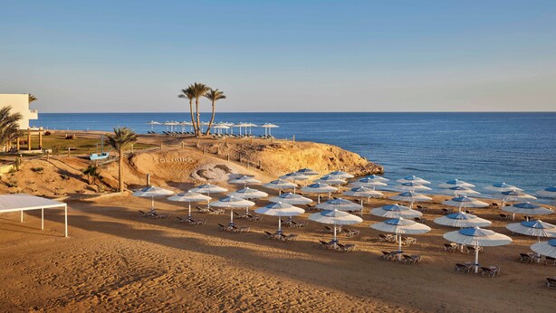 A beach with numerous white umbrellas and lounge chairs, a building with a white facade, and palm trees.