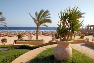 Un complejo turístico en la playa con palmeras, tumbonas y sombrillas.