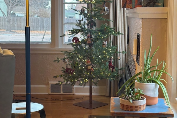 ☃️We have the Christmas Spirit at Native Colorado!🎄