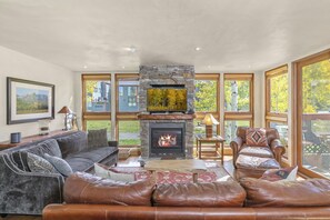 Smart TV, fireplace, DVD player, books
