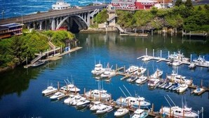 Una marina costera con numerosos barcos amarrados, un puente y edificios a lo largo de la orilla.