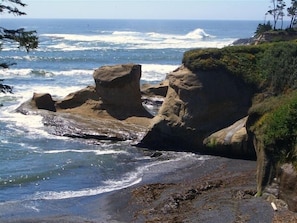 Lettini da mare