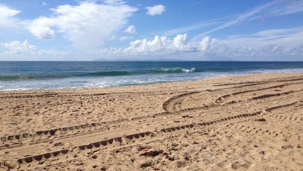 Una playa arenosa con huellas de neumáticos que conducen al agua.