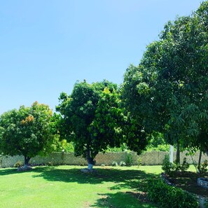 Property grounds - Beautiful 3 Bedroom Villa with swimming pool, overlooking The Caribbean Sea (Greenside, Falmouth)