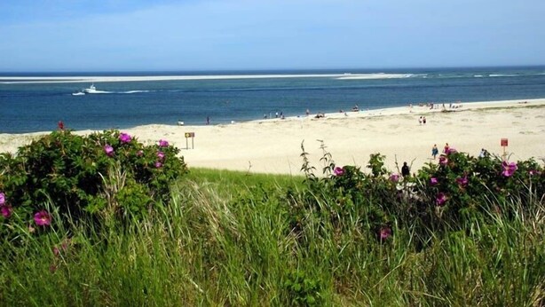 En strand med sandet bredde, en båd i vandet og folk der går langs stranden.