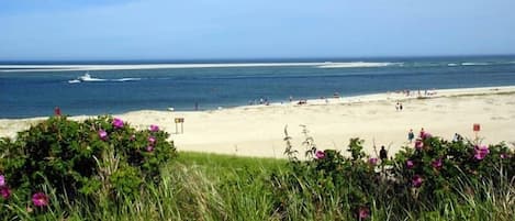 Beach towels