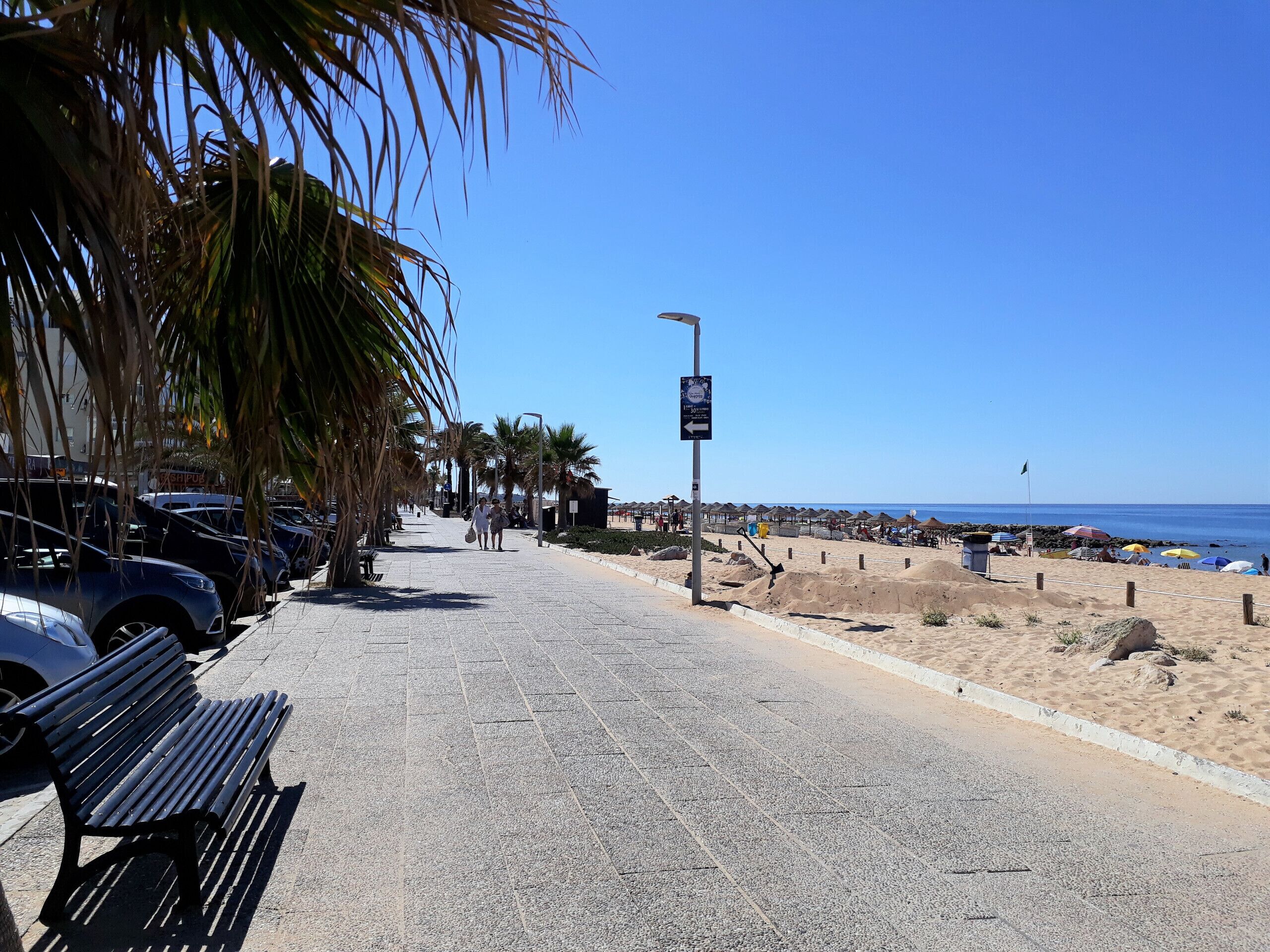 A paved walkway with benches, palm trees, and a beach in the background.