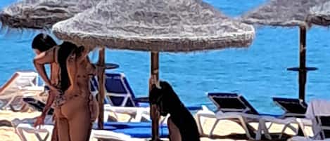شاطئ