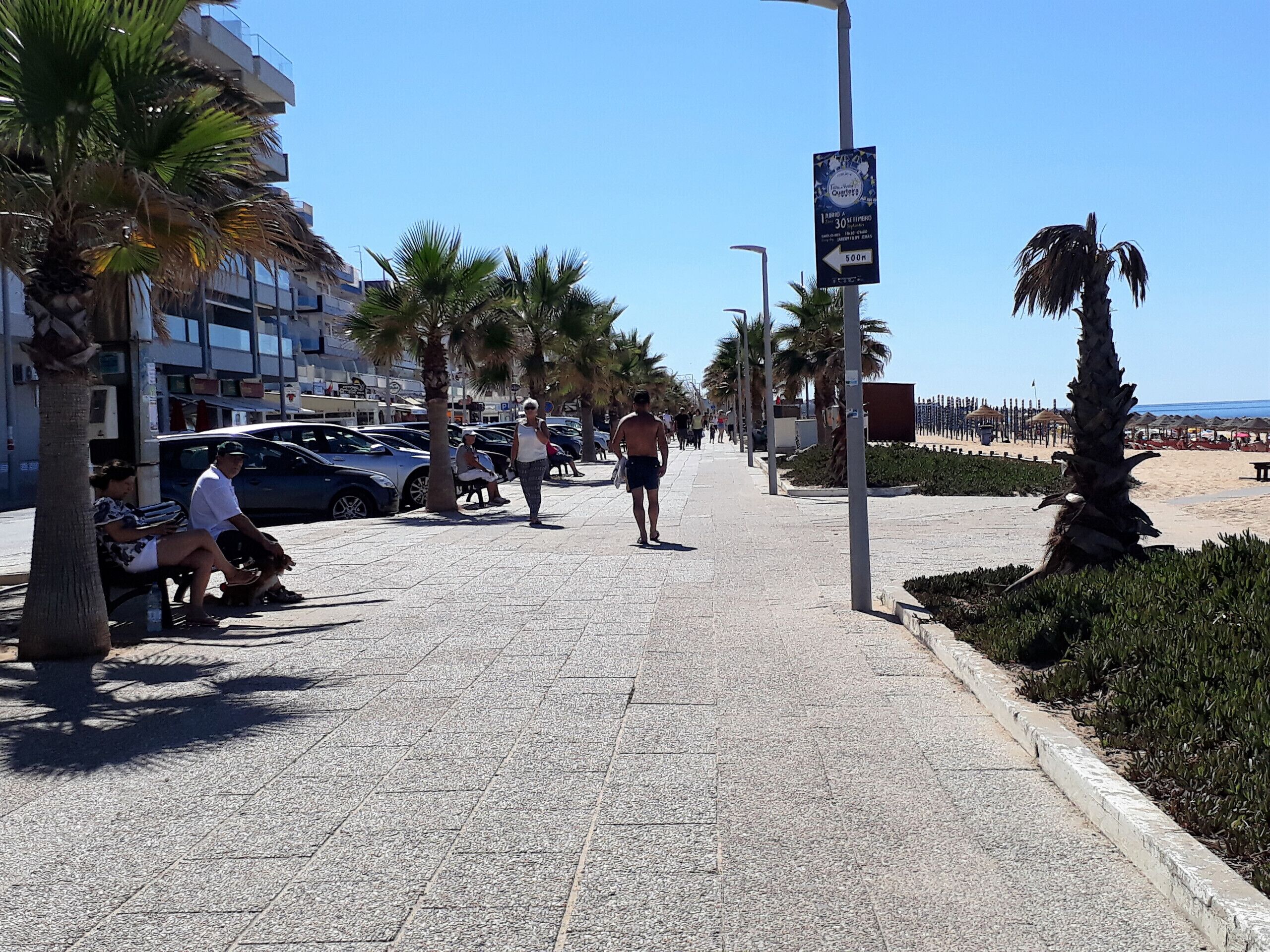 A paved walkway lined with palm trees and benches, leading towards a beach area.
