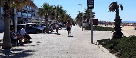 A paved walkway lined with palm trees and benches, leading towards a beach area.
