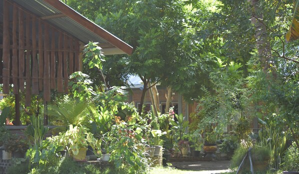 A garden with various plants and a building with a wooden facade.
