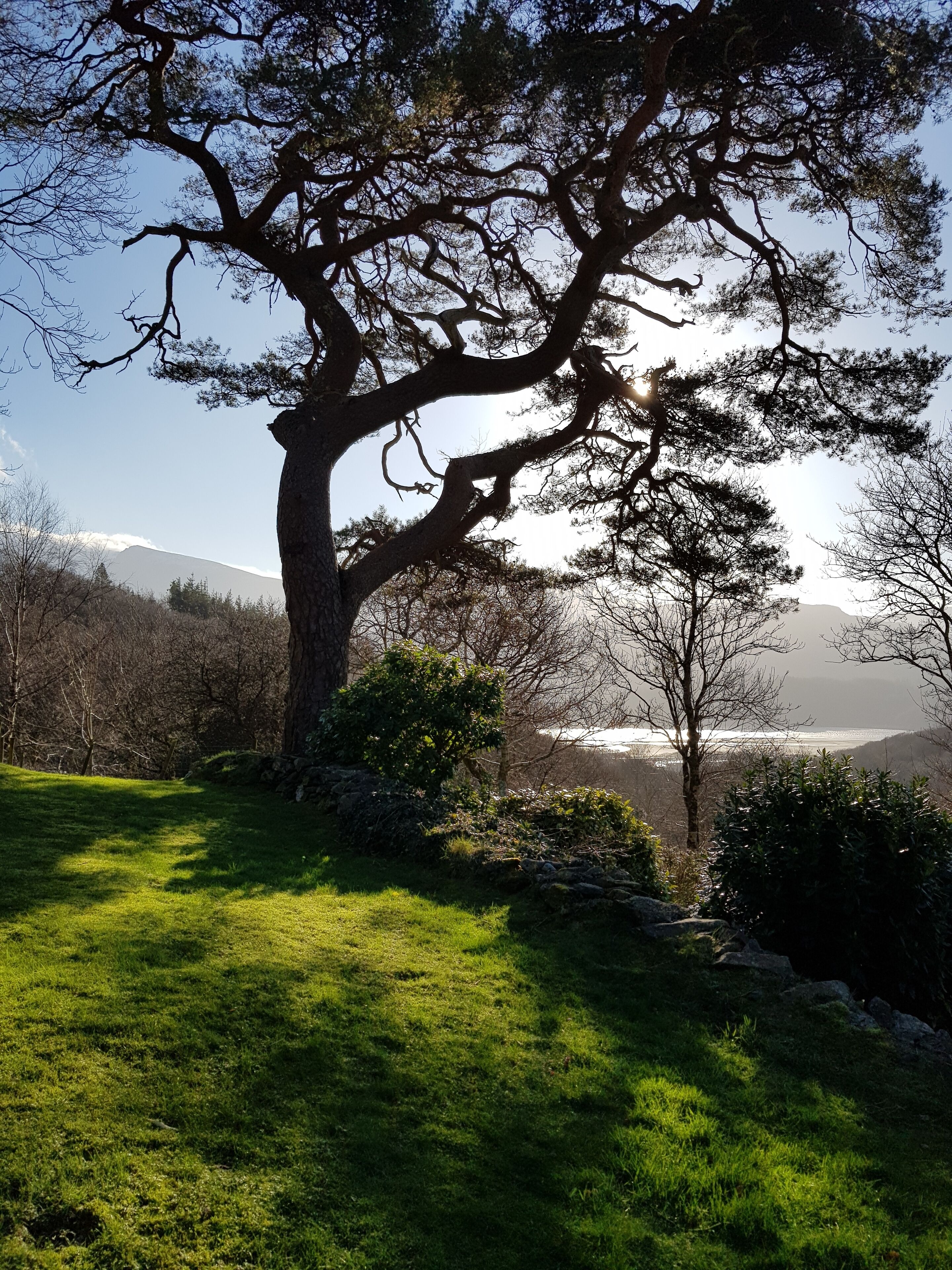 A Secluded Relaxing Getaway For Couples (+Pets)