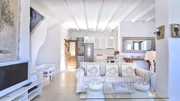 Smart TV, fireplace, DVD player, books