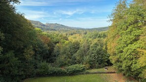 Un paysage naturel caractérisé par une forêt dense, une zone herbeuse et des collines lointaines.