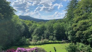 A lush green landscape with a clear sky and distant mountains.
