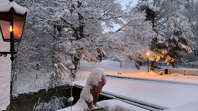 Villa Warzenburg, apartment 3 with a view of the spa promenade. Vacation with a dog.