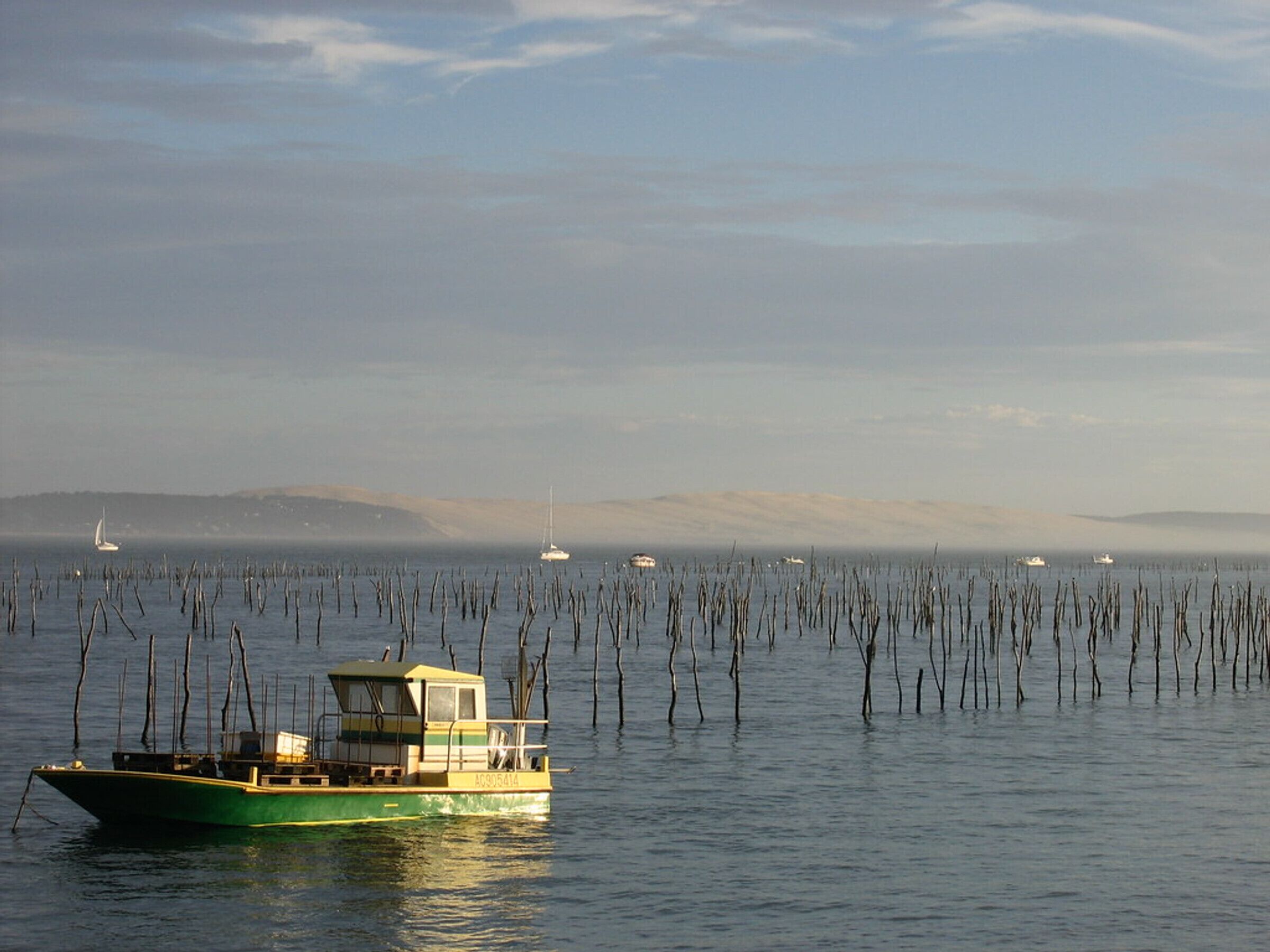 A boat with a cabin and open deck, surrounded by water and sparse vegetation.