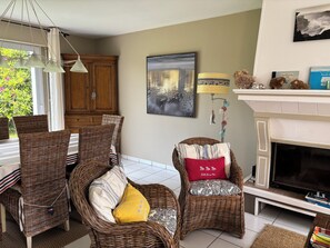 Télévision, cheminée, lecteur de DVD, chaîne hi-fi