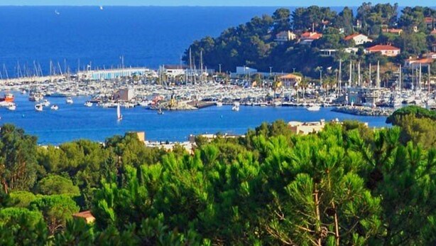 A marina with numerous boats docked, surrounded by lush greenery and a coastal town in the background.