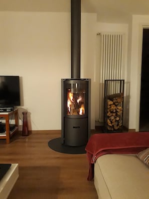 Fernseher, Kamin, DVD-Player