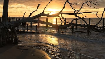 Plage à proximité, chaises longues, serviettes de plage