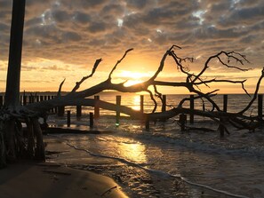 Een strandscène met een omgevallen boom op de voorgrond, een houten pier die het water in loopt en de zon die ondergaat op de achtergrond.