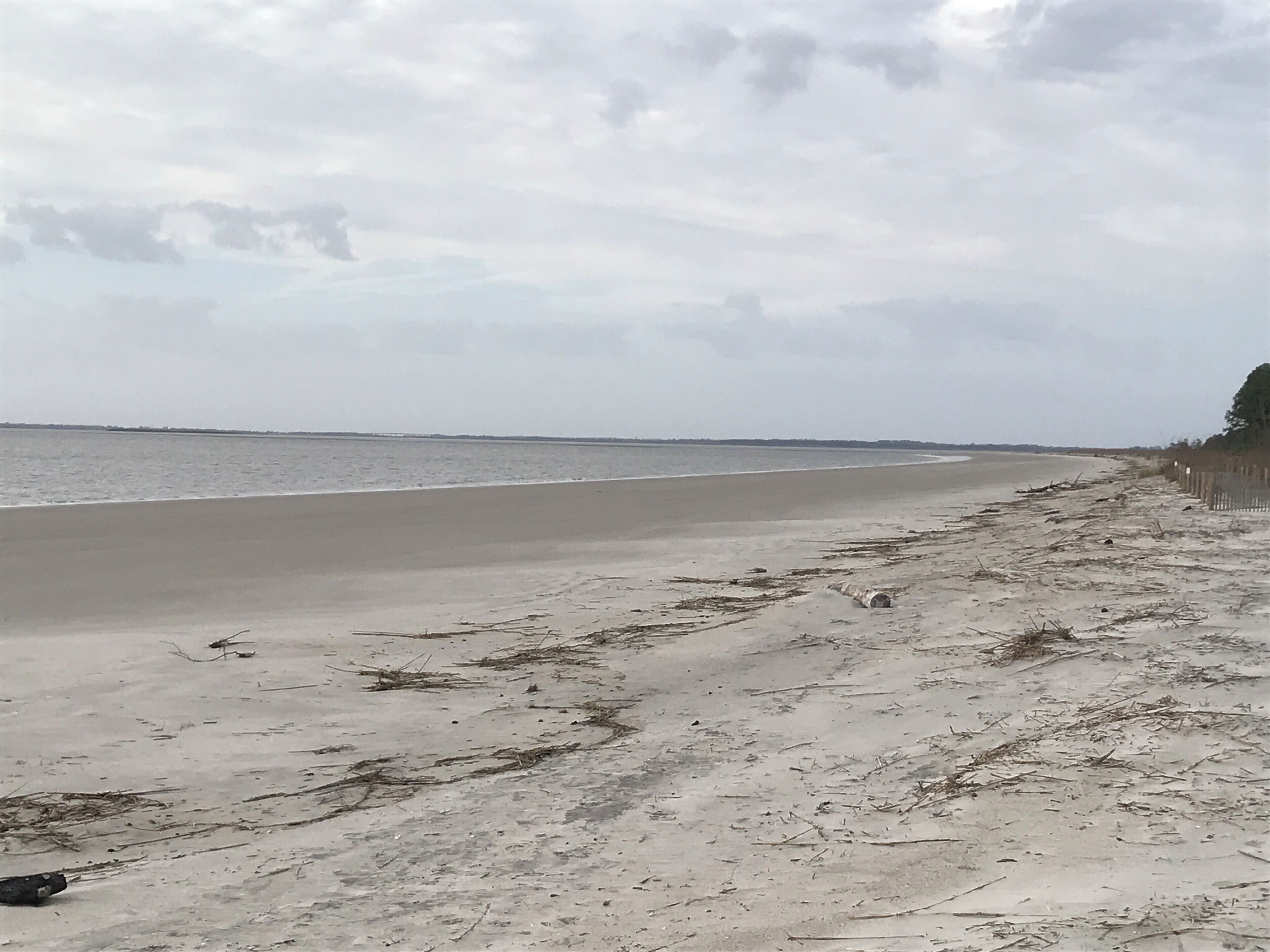 A beach with a sandy shore and a wooden fence on the right.