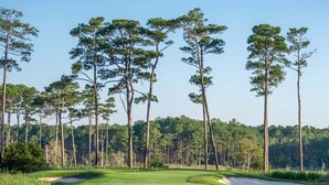 Un parcours de golf avec un étang, entouré de grands arbres.
