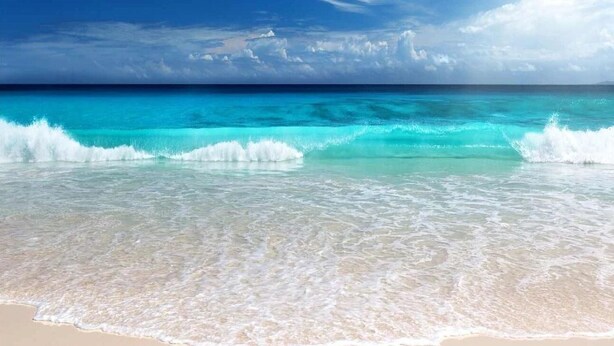 A beach with clear turquoise water and white waves. - 120 steps to beach!  Safely on the beach side of the road! (Englewood)