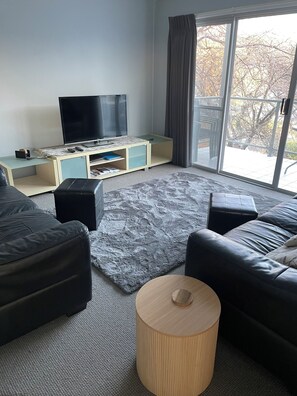 LCD 電視、DVD 播放機、書籍