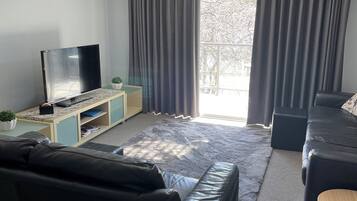 LCD TV, DVD player, books