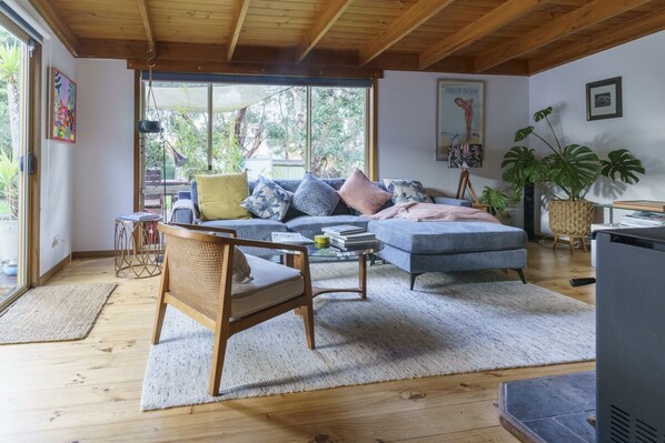 Smart TV, fireplace, video games, DVD player