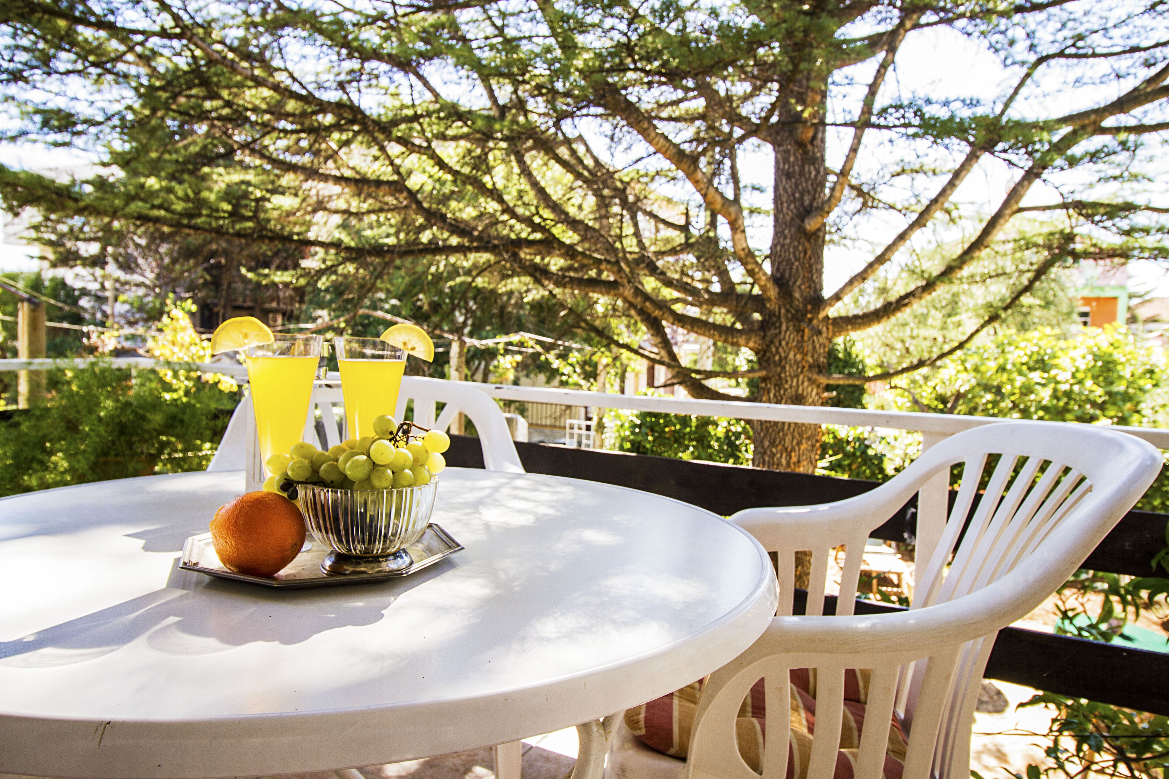 屋外ダイニングエリア