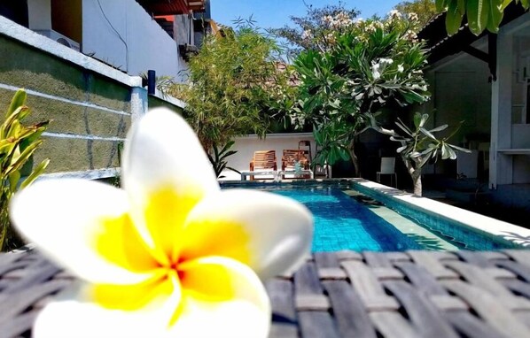 Outdoor pool - Villa PhyPhy 3 (Gili Trawangan)