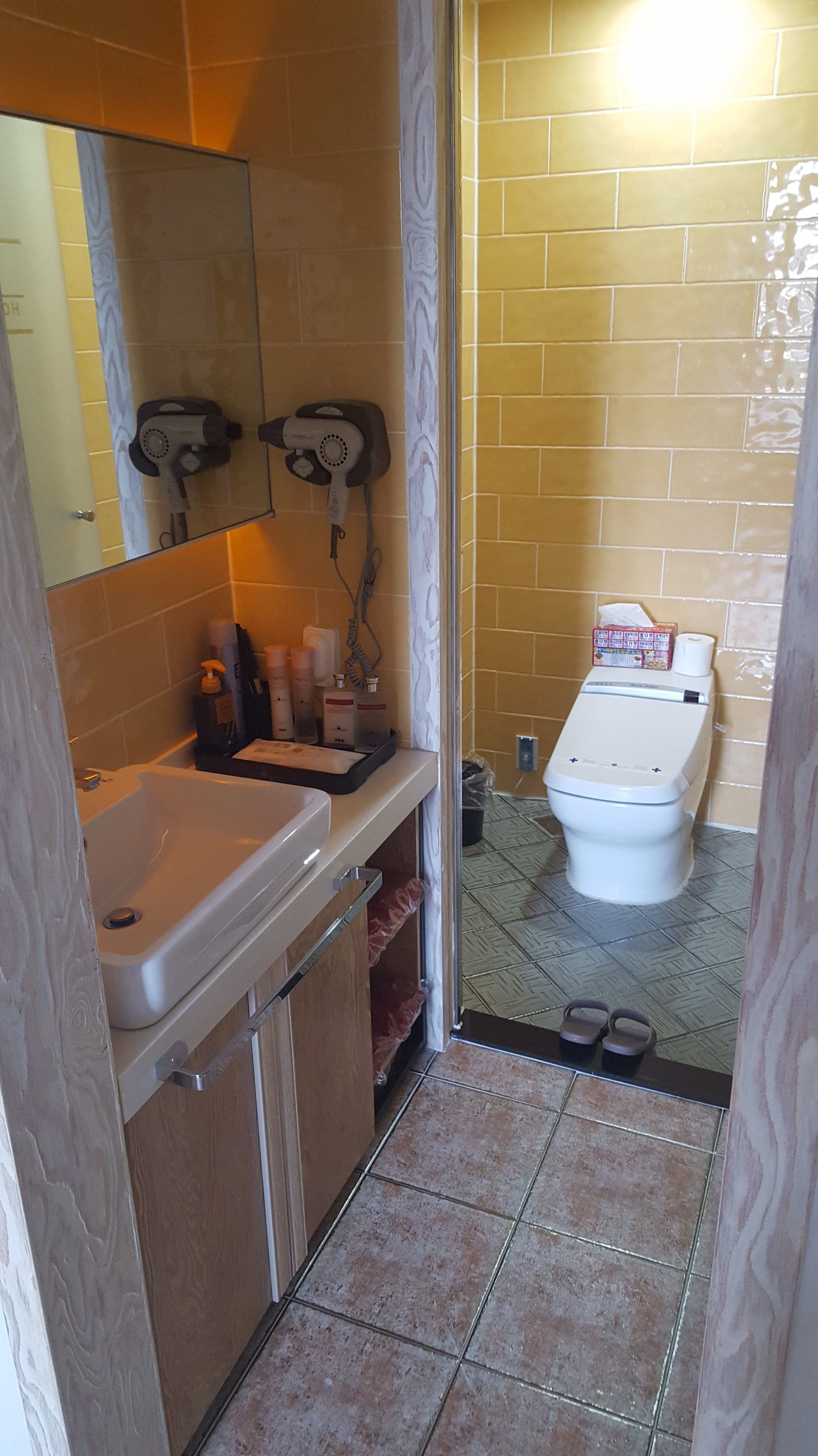 A bathroom with a sink, mirror, hairdryer, and toilet.