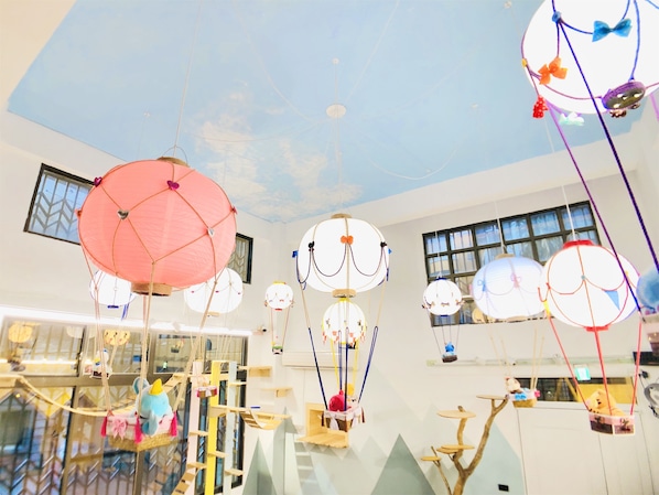 Children’s play area – indoor - Snail Pets Homestay (Tainan)